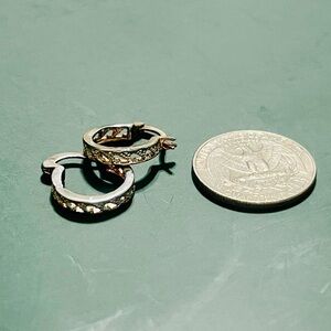 Elegant Gold and Silver Hoop Earrings